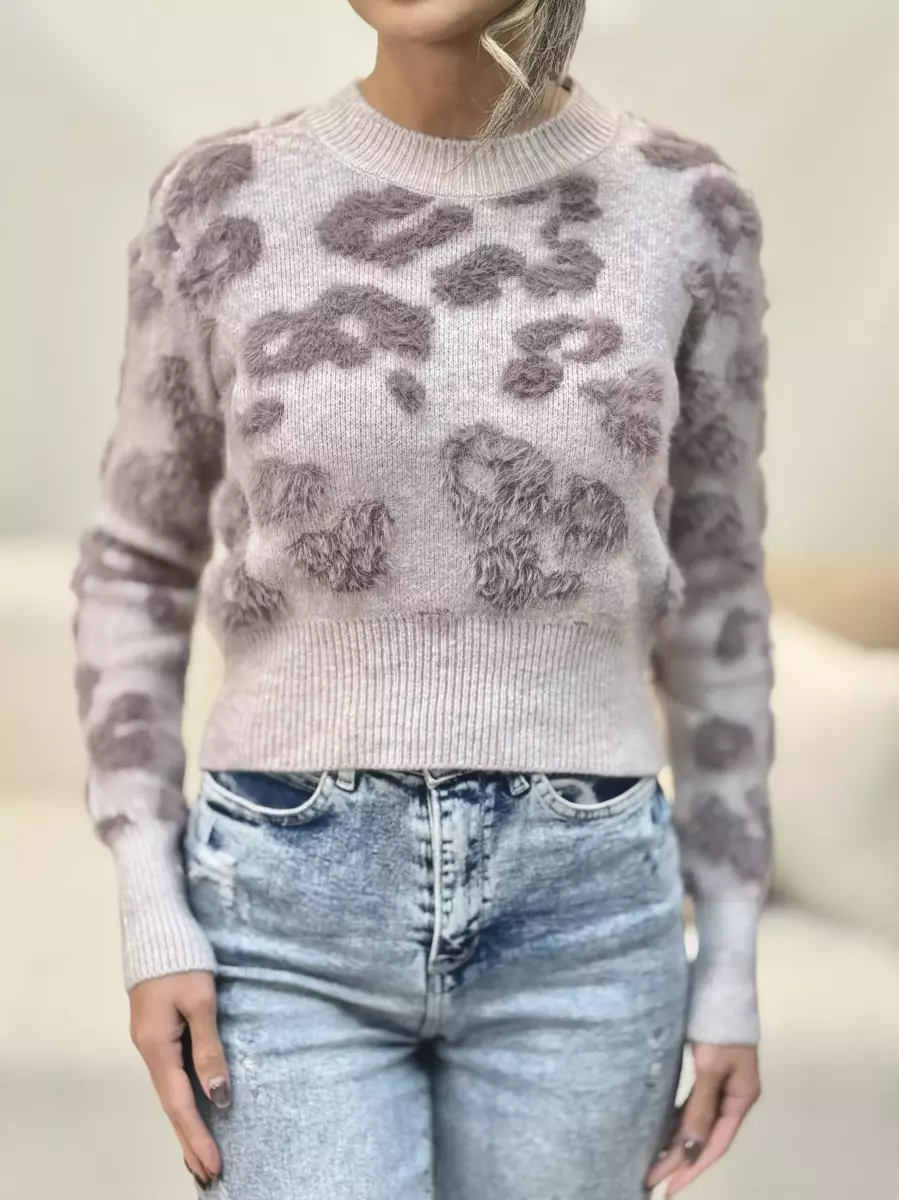 کراپ بافت جلو تدی