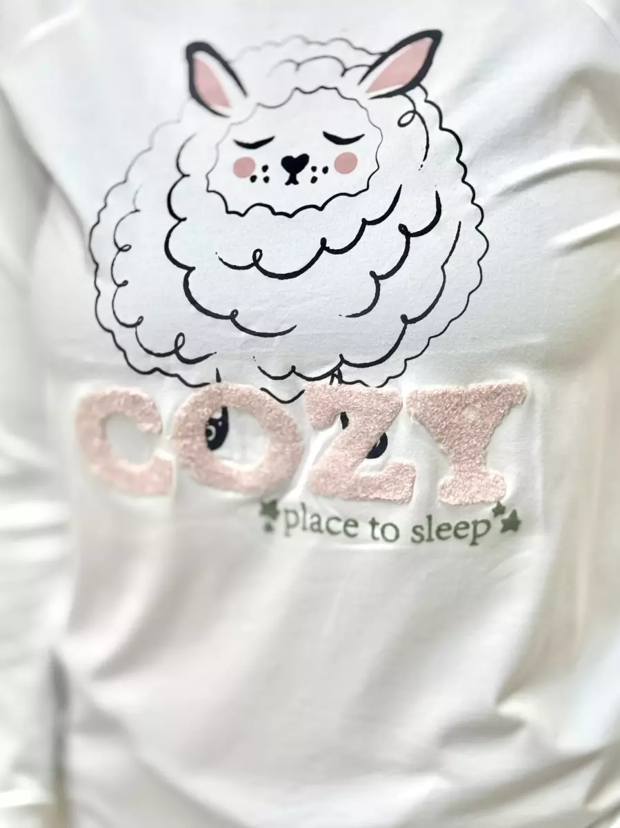 تیشرت آستین بلند تدی