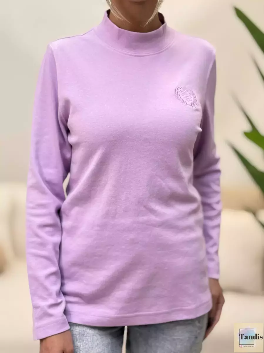 تیشرت آستین بلند یقه سه سانت(رنگبندی)
