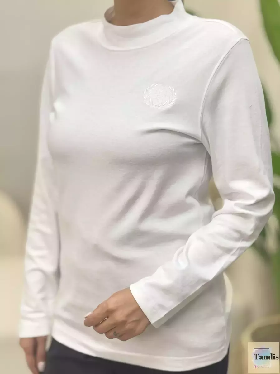 تیشرت آستین بلند یقه سه سانت(رنگبندی)