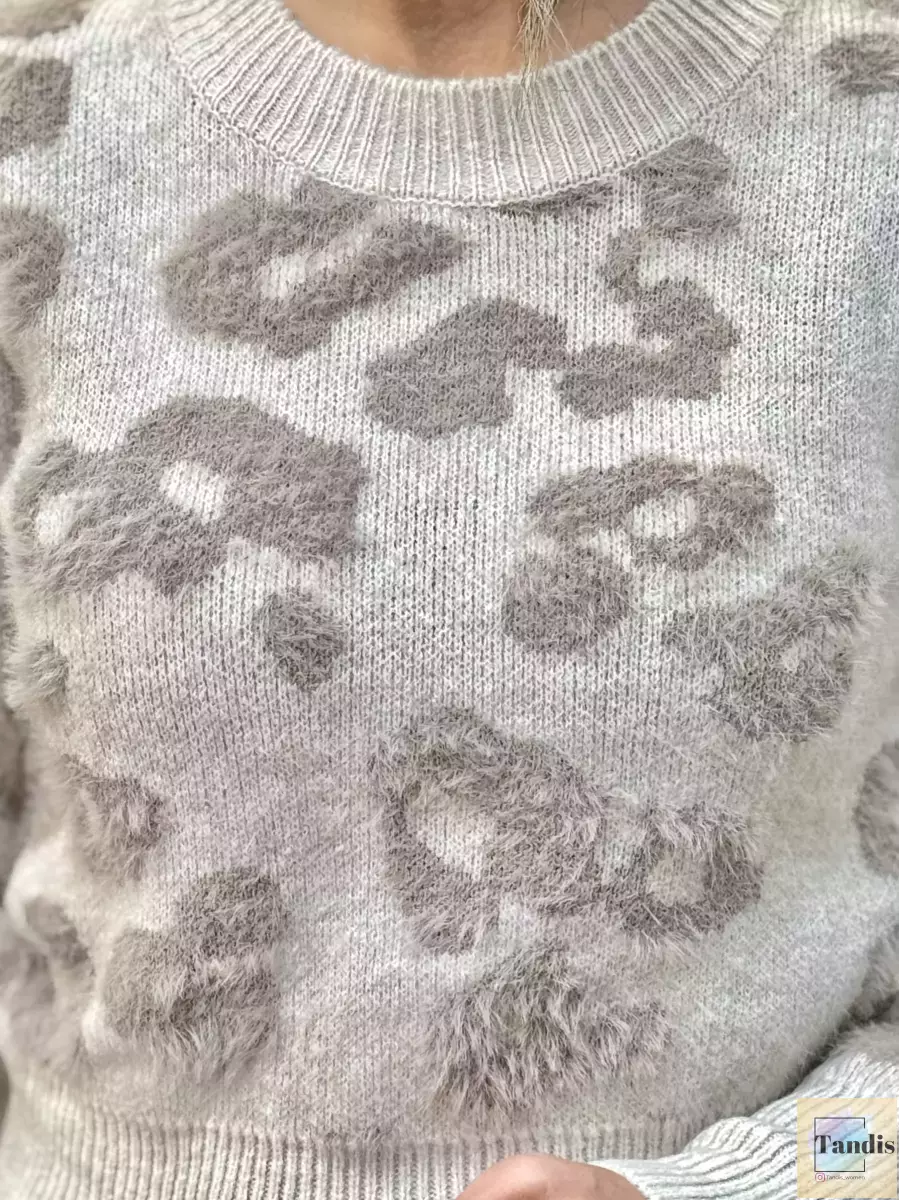 کراپ بافت جلو تدی