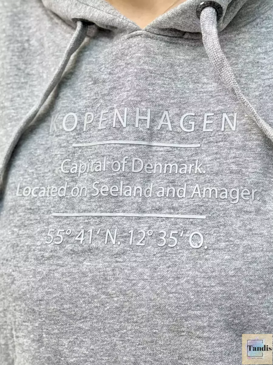 هودی طوسی gina