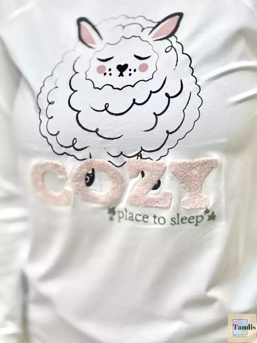 تیشرت آستین بلند تدی