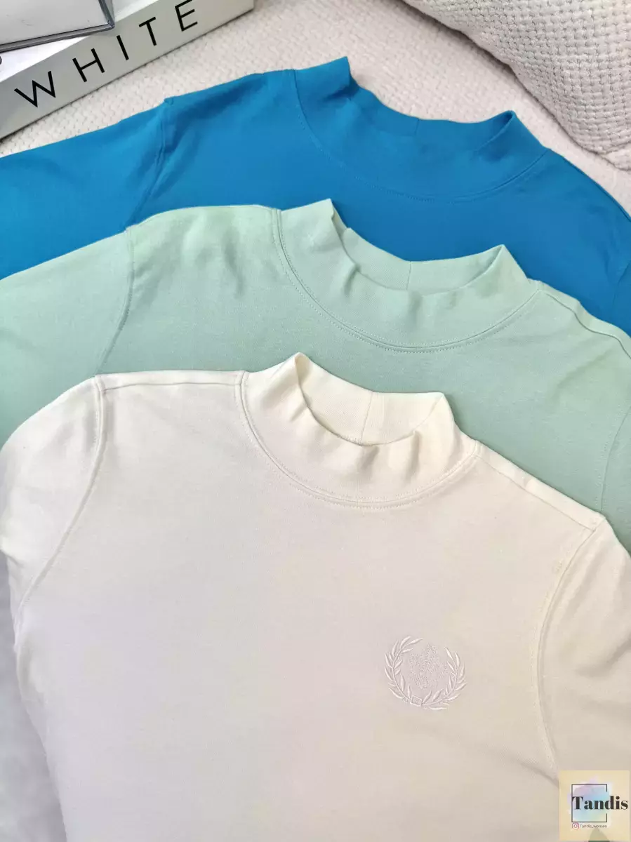 تیشرت آستین بلند یقه سه سانت(رنگبندی)